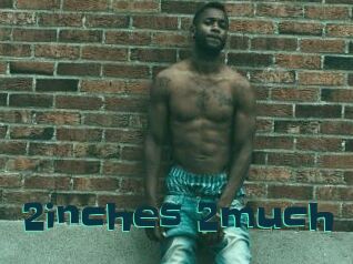 2inches_2much