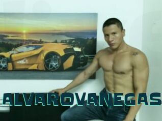 ALVAROVANEGAS