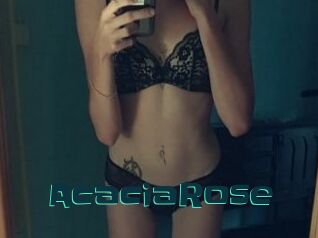 AcaciaRose