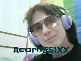 Acorn551XX