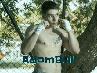 AdamBull