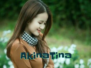 AkinaTina