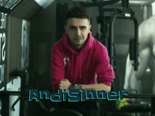 AndiSinner