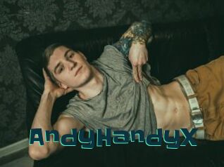 AndyHandyX
