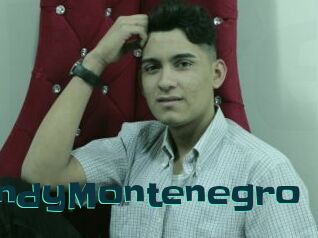 AndyMontenegro