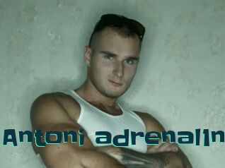 Antoni_adrenal1n