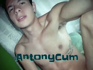 AntonyCum