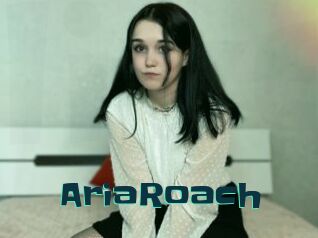 AriaRoach