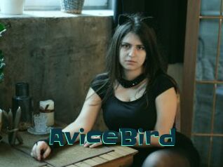 AviceBird
