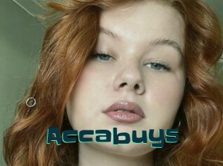 Accabuys