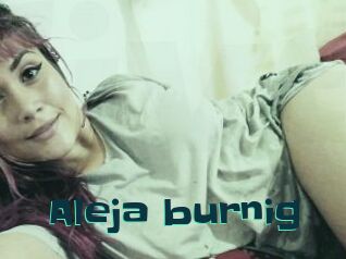 Aleja_burnig