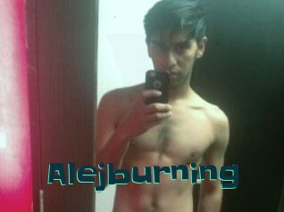 Alejburning