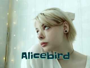 Alicebird