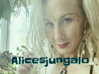 Alicesjungalo