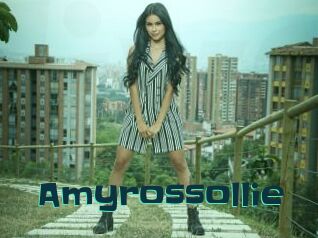 Amyrossollie