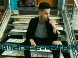 Andresescarpia