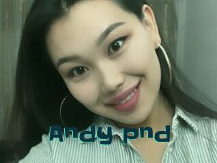 Andy_pnd