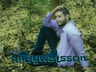 Andywatsson