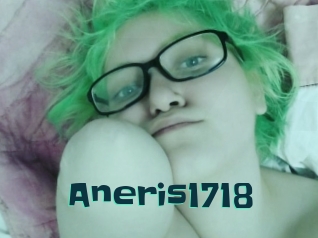 Aneris1718