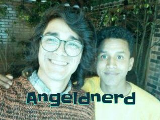 Angeldnerd