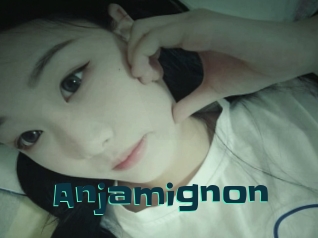 Anjamignon