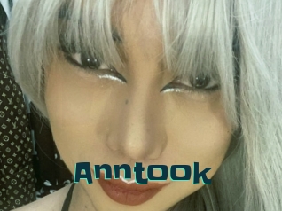 Anntook
