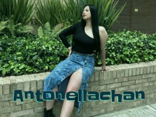 Antonellachan