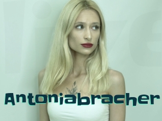 Antoniabracher