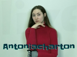 Antoniacharton