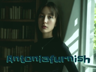 Antoniafurnish