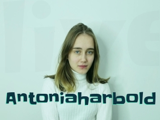 Antoniaharbold