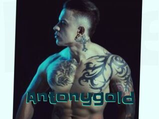 Antonygold