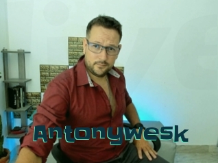 Antonywesk