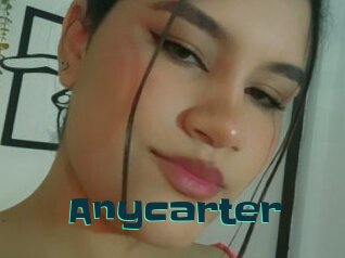 Anycarter