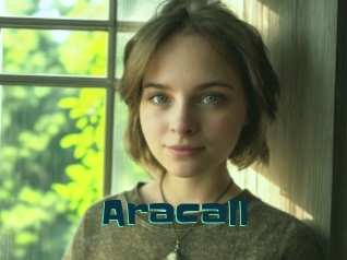 aracall Live Cams