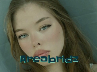 Areabridz