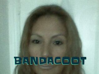 BANDACOOT