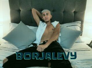 BORJALEVY