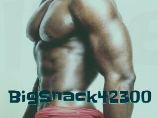 BigSnack42300