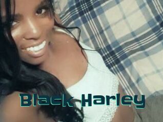 Black_Harley