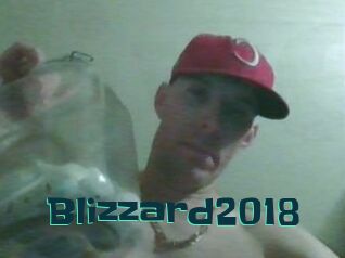 Blizzard2018