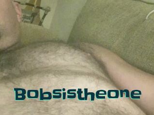 Bobsistheone