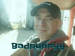 Badpuppyy
