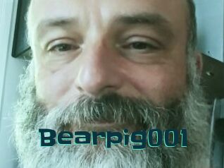 Bearpig001