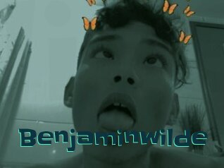 Benjaminwilde