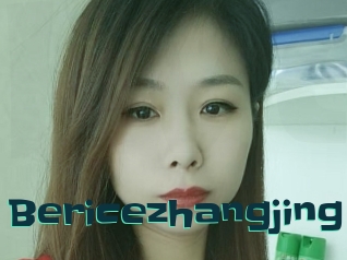 Bericezhangjing