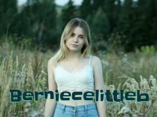 Berniecelittleb