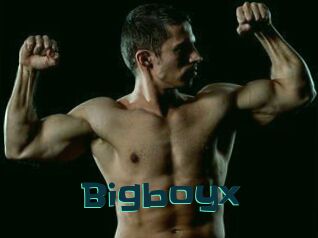 Bigboyx