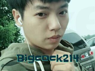Bigcock214