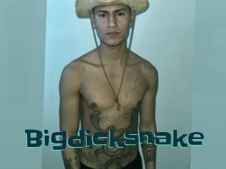 Bigdicksnake